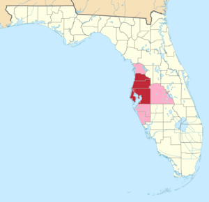The Tampa–St. Petersburg–Clearwater Metropolitan Statistical Area (red) and other counties which are sometimes considered to be part of the Tampa Bay area.