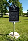 Texas Long Leaf Lumber Company Trinity Texas