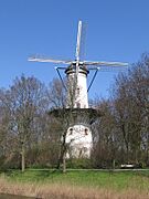 Tholen - Korenmolen - De Hoop