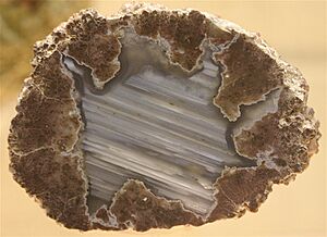 ThundereggOR