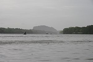 Tortuguero river (5590185325)