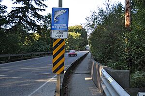 Vashon, WA - Judd Creek Bridge 01