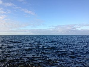 View from Gloucester Reserve, Williamstown