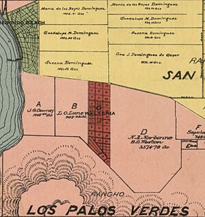 Walteria 1888