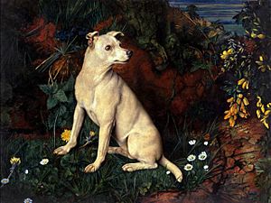 Webbe A White Terrier by a Mossy Bank with Flowers
