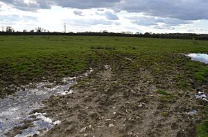 Wendlebury Meads 7