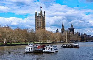 Westminster - Houses of Parliament (geograph 6802738).jpg