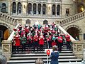 A choir of Natural History Museum, Science Museum and Victoria and Albert Museum staff members sing carols in the central hall of the Natural History Museum 02