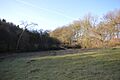 Alpine Meadow, Berkhamsted 3