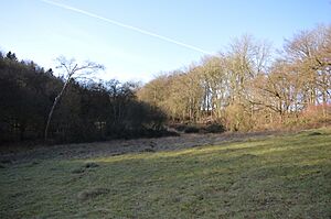 Alpine Meadow, Berkhamsted 3