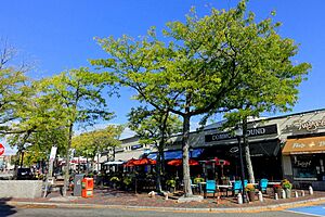 Arlington Center - Arlington, MA - DSC07462