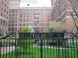Bellevue Hospital front gate jeh