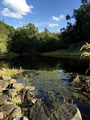 BlackRiver0786