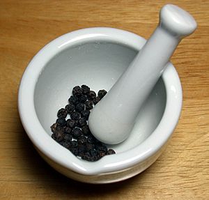 Black peppercorns with mortar and pestle