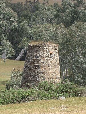 Bogolong Blast Furnace from Public Land on Illalong Rd (October 2019)