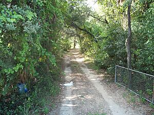 Brandon FL Moseley Homestead dwy01
