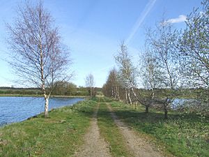 Bridle path and nature reserve near to Kirkby on Bain. - geograph.org.uk - 162506