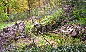 Canal Store Ruin, High Falls, NY