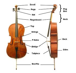 Cello Parts