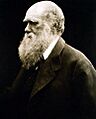 Charles Darwin by Julia Margaret Cameron