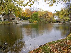 Creek In Cedarburg, WI - October 2008 - 3