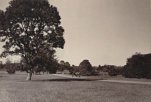 Cubbon Park, Bangalore (1890). Curzon Collection's 'Souvenir of Mysore Album'