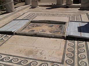 Delos House of Dionysus floor mosaic