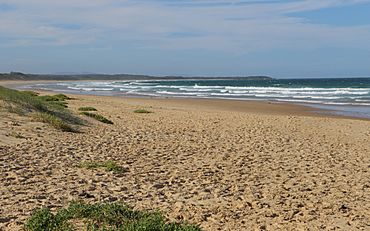 Diamond Beach, New South Wales.jpg