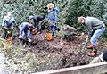Digging out wet woodland at Gunnersbury Triangle
