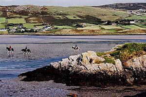 Dunfanaghy - Horses in Sheephaven Bay - geograph.org.uk - 1326807