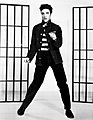 A black and white photograph of Elvis Presley standing between two sets of bars