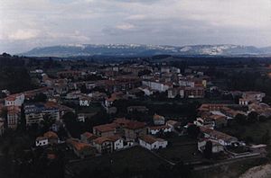 Espinosa de los Monteros panoramic view, 1996