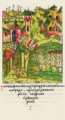 Facial Chronicle - b.13, p.414 - Photios baptising king of Bulgars