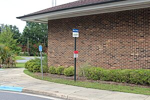 Gadsden Connector bus stop, Municipal Building, Havana