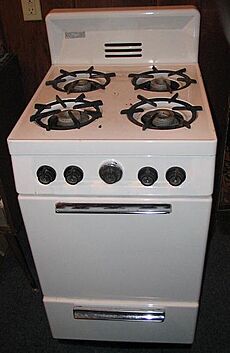 Gas stove