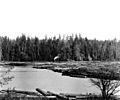 Great Western Lumber Co, Lake Ballinger, Aug 19, 1907 (CURTIS 249)
