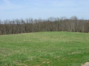 Household No. 1 Site, southern portion.jpg