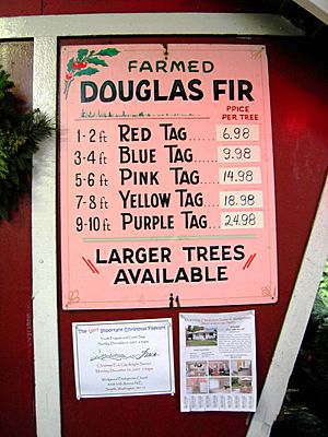 Hunter's Tree Farm - Doug fir prices