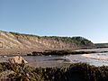 Joggins Fossil Cliffs, Joggins, Nova Scotia 01