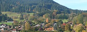Le Pâquier-Montbarry (Le Pâquier (Fribourg)) (autumn) 9