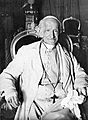 Leo XIII, 1887