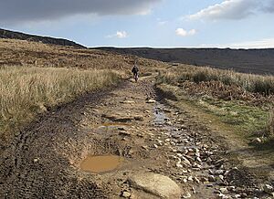 Long Causeway, Stanage Edge - geograph.org.uk - 1193851