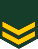 Malaysia-army-OR-4