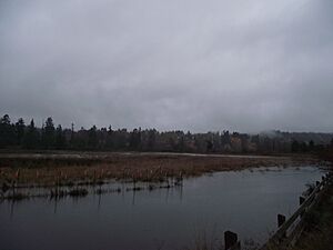 Marshall-Stevenson Wildlife Sanctuary, west, viewed at high tide in early fall.
