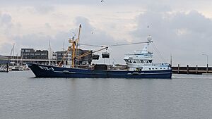 Muschelkutter im Hafen Hörnum