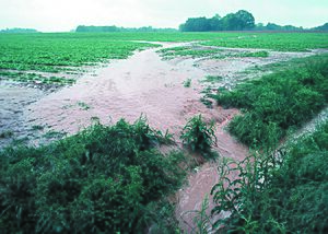 NRCSTN83003 - Tennessee (6251)(NRCS Photo Gallery)