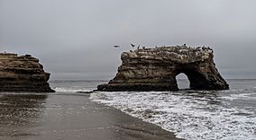 Natural Bridges with pelicans and cormorants.jpg