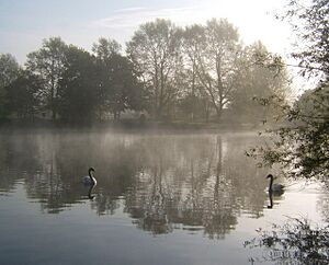 Needham Lake - geograph.org.uk - 1276145