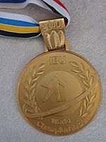 A golden medal is pictured in front of a grey background. The medal has a multi-colored ribbon on it.
