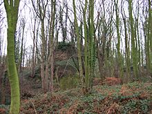 Overgrown Remains of Horsley Castle - geograph.org.uk - 299788.jpg